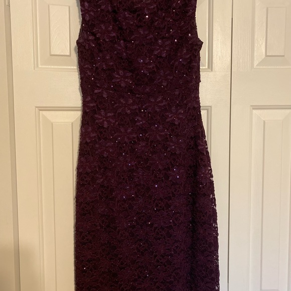 Plum Lace & Sequin Dress - Picture 2 of 4